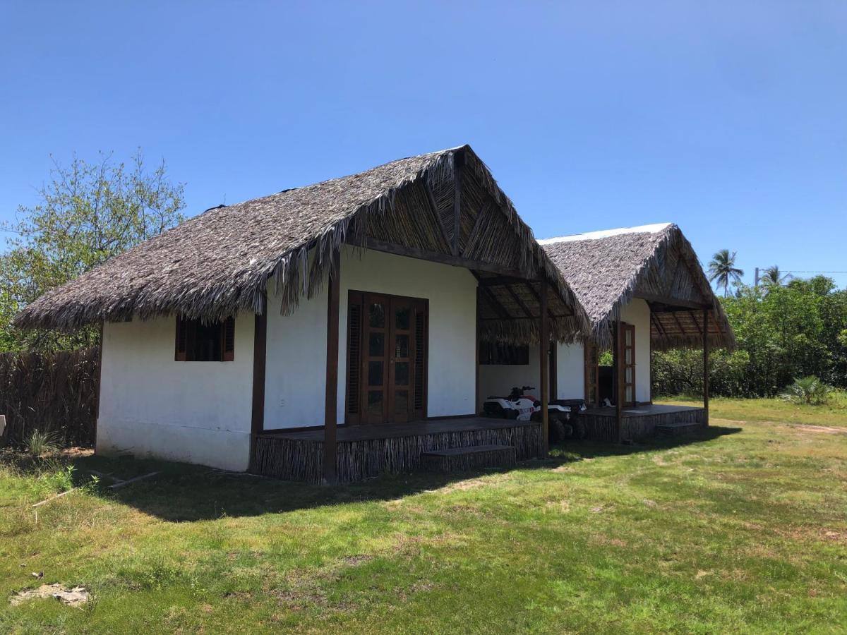 Tribu Chalet